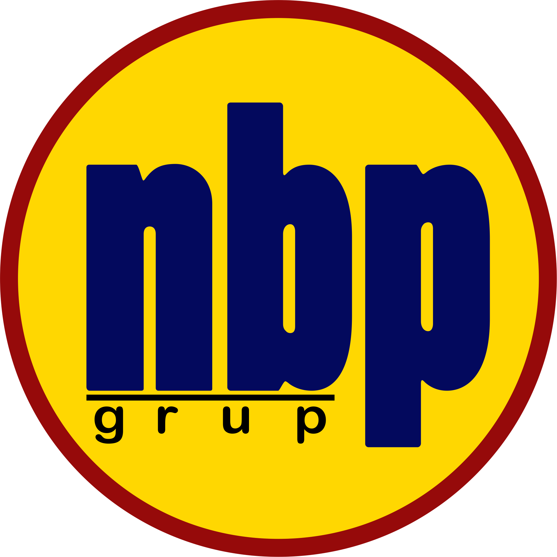 Logo NBP Grup
